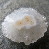 Křišťálový krápník (Solar quartz)