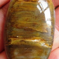 Wood Opal, Slovakia