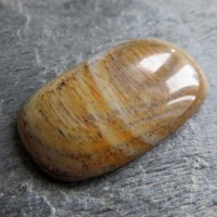 wood opal