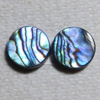 Paua Cabochon shells