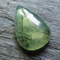 Swallow with epidote