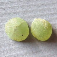 prehnit raw