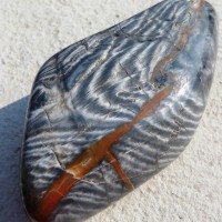 Stromatolit Mítov ČR