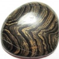 Stromatolite