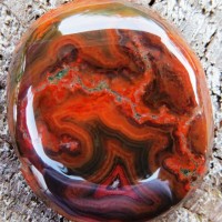 Agate Argentina, red