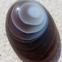 Botswana Agate