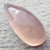 Pink chalceon Mexico