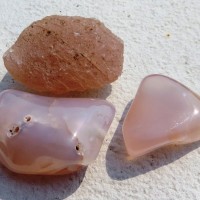 Pink chalceon Mexico