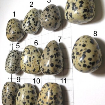 Dalmatian jasper badge, set B