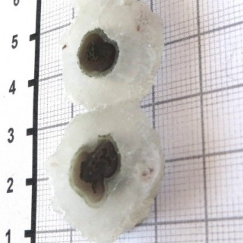 Crystal, stalactite cabochon, A15 | www.sperkove-kameny.cz