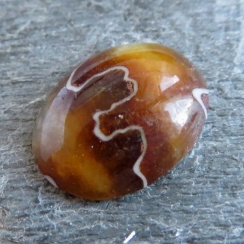 Amonit, kabošon, č.8