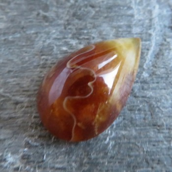 Amonit, kabošon, č.9