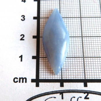 chalcedon