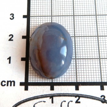 chalcedon