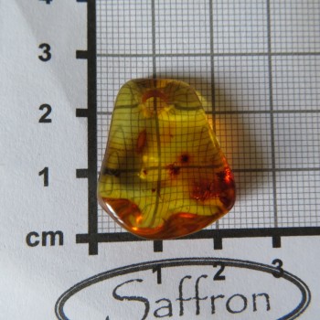 jantar