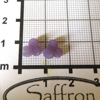 grape chalcedon