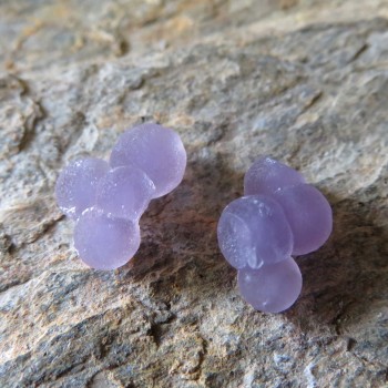 Třpytivý Grape Chalcedon Indonésie pár č.7