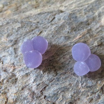 Třpytivý Grape Chalcedon Indonésie pár č.15