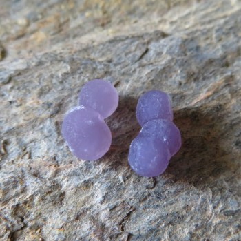 Třpytivý Grape Chalcedon Indonésie pár č.16