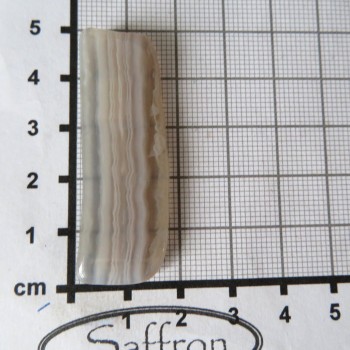 chalcedon