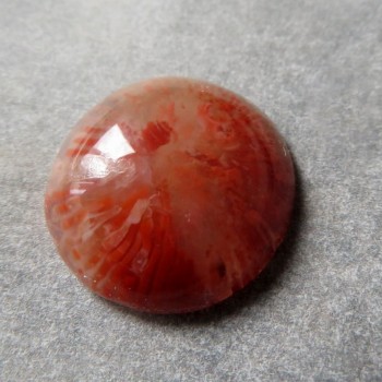 Red Horn fosilní korál USA, kabošon č.2