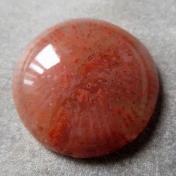 Red Horn fosilní korál USA, kabošon č.4