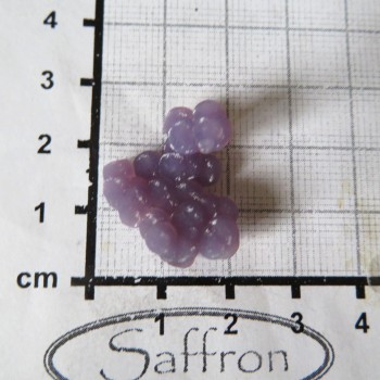 grape chalcedon
