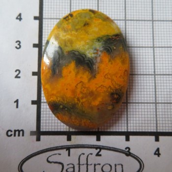 bumblebee jasper