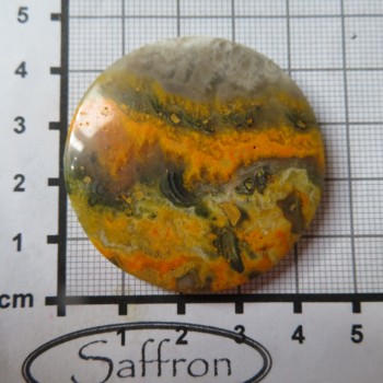 bumblebee jasper