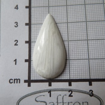 skolecit