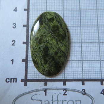 serpentinit