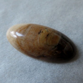 Přírodní mamutovina Sibiř, kabošon č.2