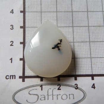 chalcedon
