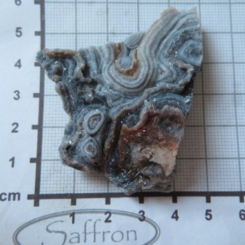 chalcedon