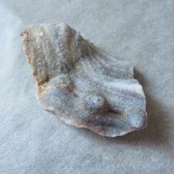 Chalcedonová růže  č. 29