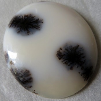 Dendritic opal, De luxe, no