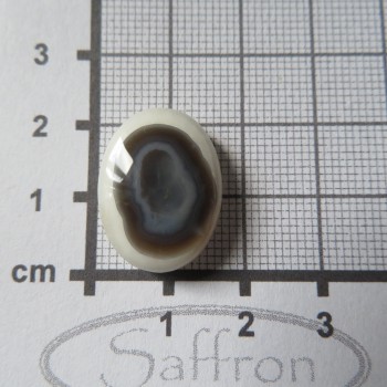 chalcedon