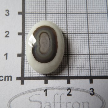 chalcedon