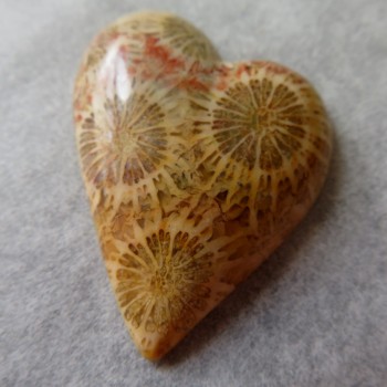 Fosilní korál, Indonésie, kabošon srdce č.1