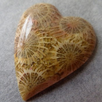 Fosilní korál, Indonésie, kabošon srdce č.2