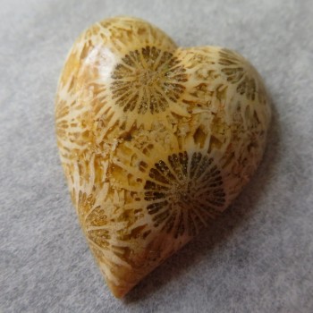 Fosilní korál, Indonésie, kabošon srdce č.3