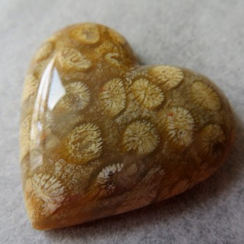 Fosilní korál, Indonésie, kabošon srdce č.4