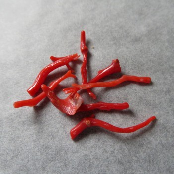 Real red coral Spain, set no.4