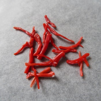 Real red coral Spain, set no.7