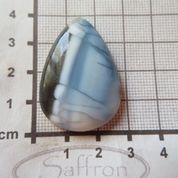owyhee opal