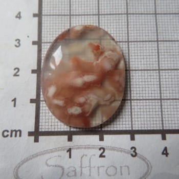 chalcedon