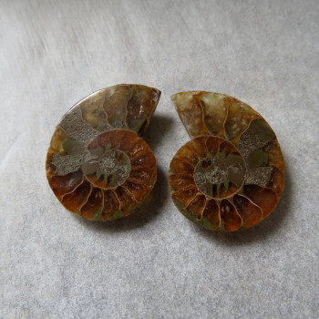 Ammonite polished pair no.18