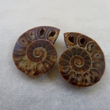 Ammonite polished pair no.05