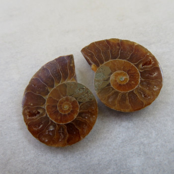 Ammonite polished pair no.09