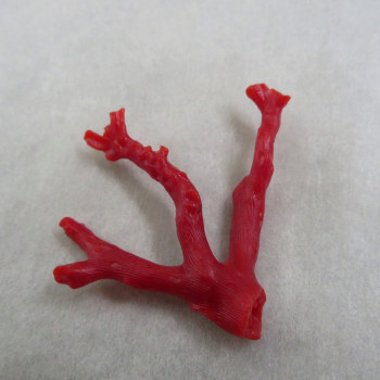 Real red coral Spain, K10 twig